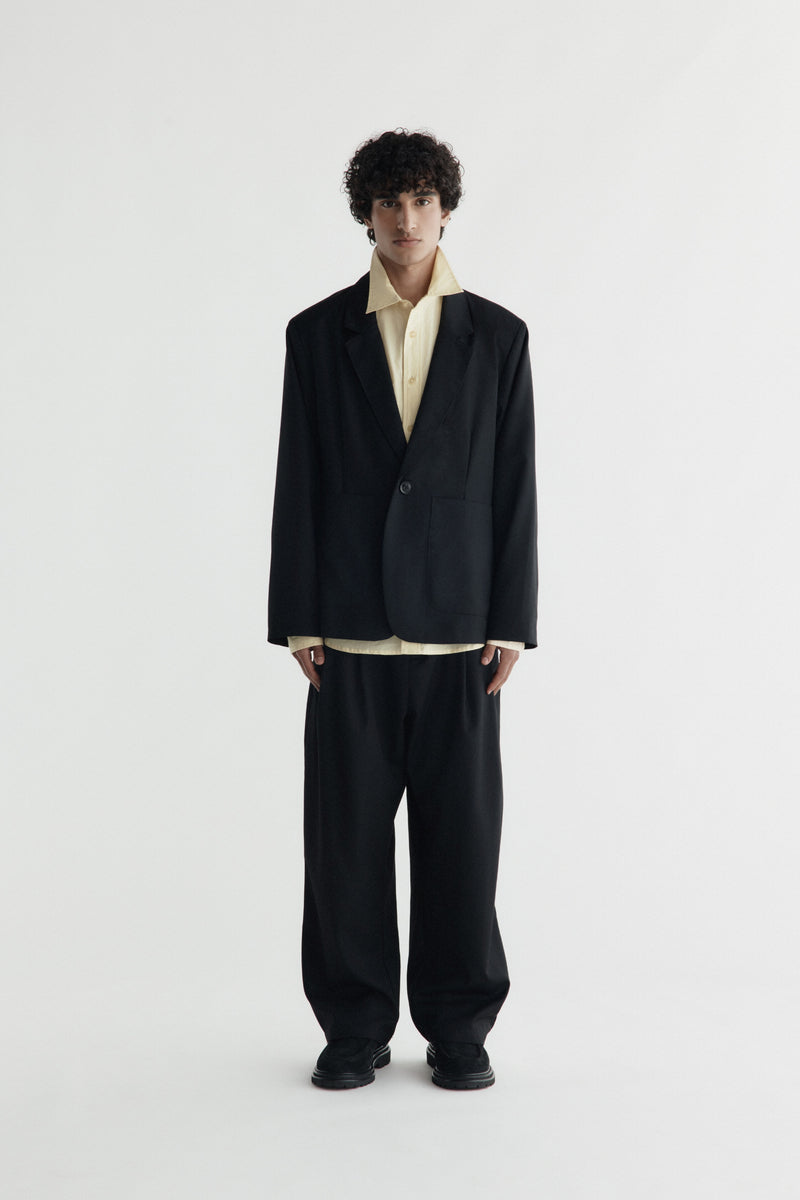Tailored Pleated Trousers